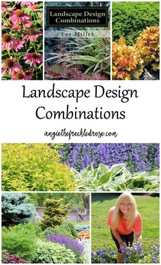 A Book Review: Lands