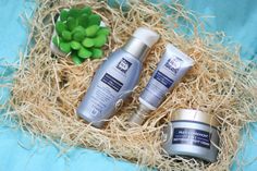 3 Essential Steps to