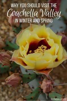 Why you should visit