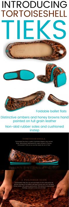 Introducing Tortoise