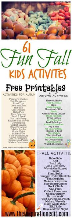 61 Fun Autumn / Fall