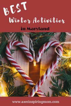 Best Winter Activiti