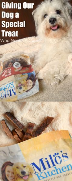 There are days when I feel it is important to focus on Giving Our Dog a Special Treat. Sometimes we need to show our family pet they mean the world to us. #ad @walmart