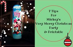 Any time of year see