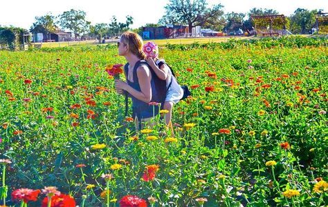 Freeloader Child Carrier – What a Neat Product for Hiking with your Toddler