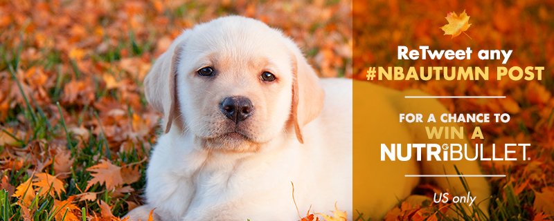 Top Fall Giveaways for Tuesday #giveaways #sweeps #enter #win